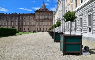 DSC_0282-1030×687-1