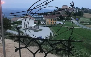 riproduzione-vigneti-sandretto (1)