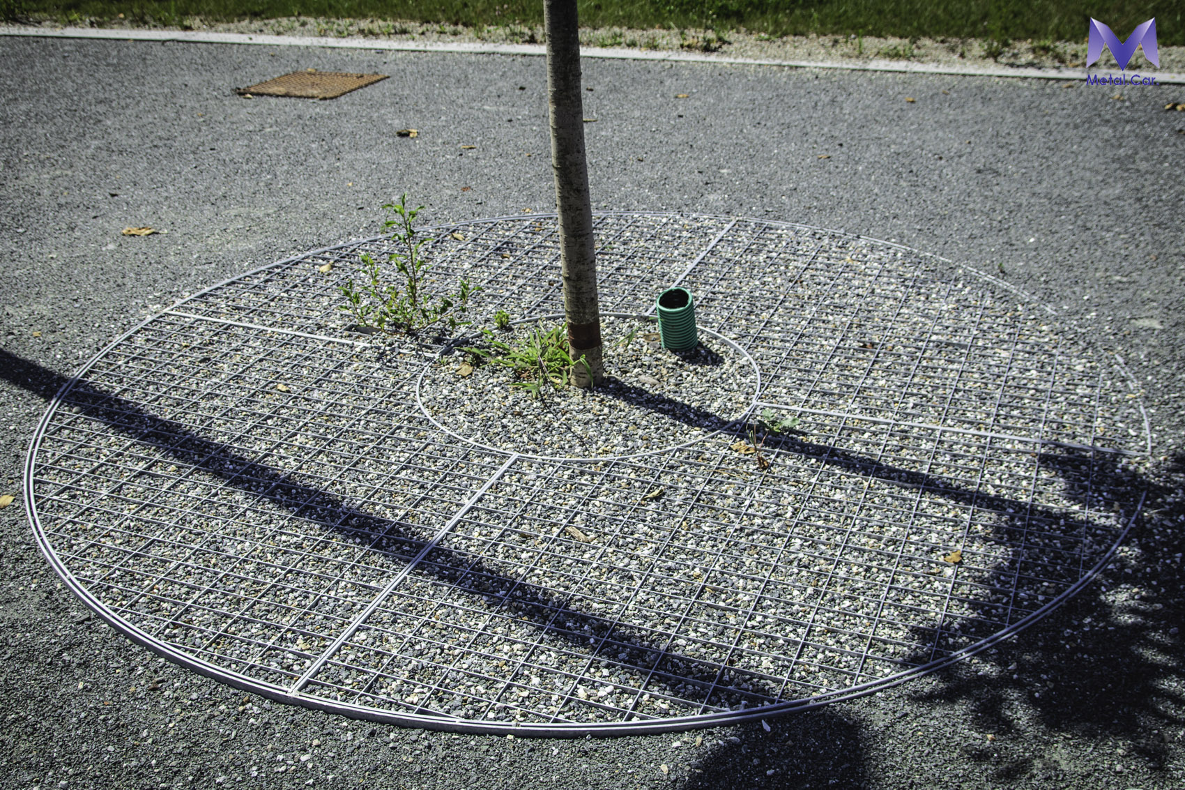 salvapiante-salvaradici-torino